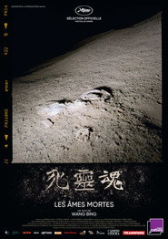 死灵魂 封面