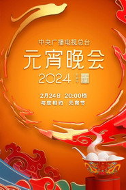 2024年中央广播电视总台元宵晚会 封面