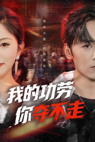 我的功劳,你夺不走 封面