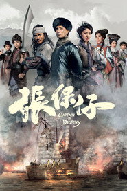 张保仔 封面