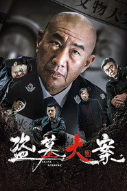 盗墓大案 封面
