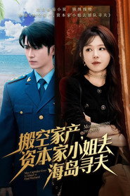 搬空家产，资本家大小姐去海岛寻夫 封面