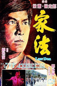 家法 封面