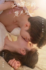突然降临的楚先生 封面