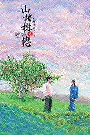 山楂树之恋 封面