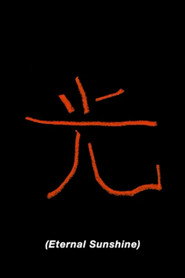 光 封面
