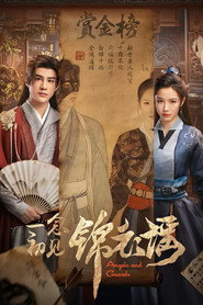 一念初见锦衣谣 封面