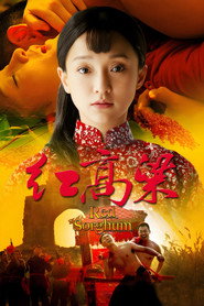 红高粱 封面