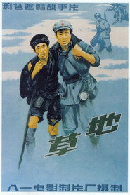 草地 封面