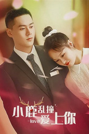 小鹿乱撞爱上你 封面