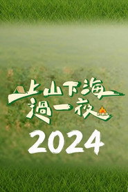 上山下海过一夜(2024) 封面
