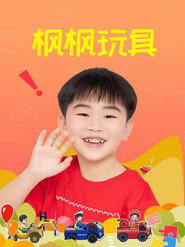 枫枫玩具 封面