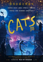 猫 封面