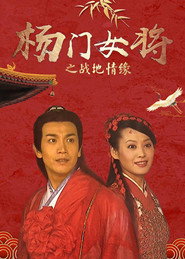 杨门女将之战地情缘 封面