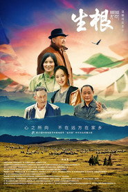 生根 封面