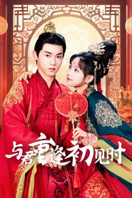 与君重逢初见时 封面