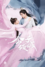 公子倾城 封面