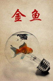 金鱼 封面