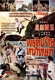 玉面煞星 封面