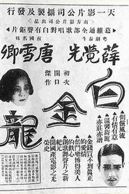 白金龍 封面