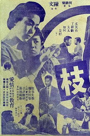 连理枝 封面