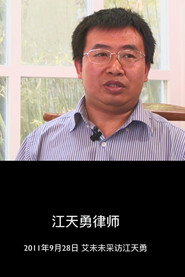 江天勇律师 封面