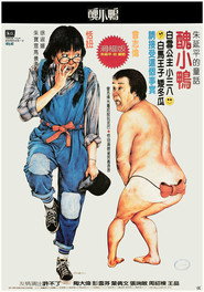 丑小鸭 封面
