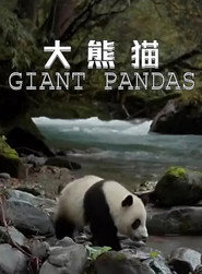 大熊猫 封面