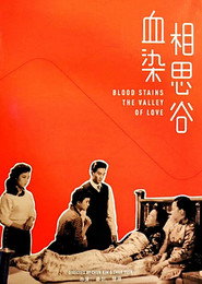 血染相思谷 封面