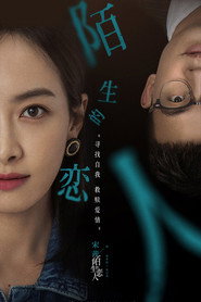 陌生的恋人 封面