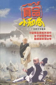 真命小和尚 封面