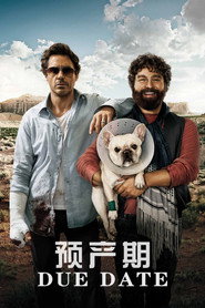 预产期 封面