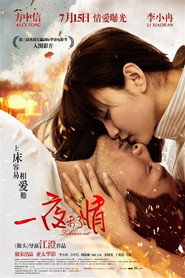 一夜未了情 封面