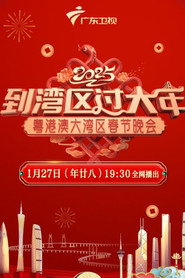 到湾区过大年——2025蛇年粤港澳大湾区春节晚会 封面