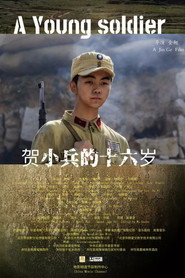 贺小兵的十六岁 封面