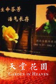 天堂花园 封面