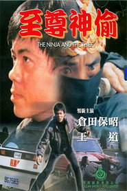至尊神偷 封面