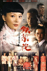 铁梨花 封面