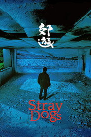 郊游 封面