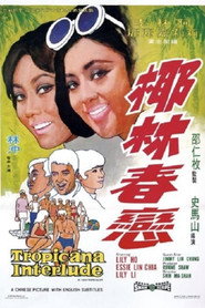 椰林春恋 封面