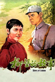 柳堡的故事 封面