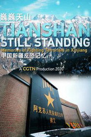 巍巍天山——中国新疆反恐记忆 封面