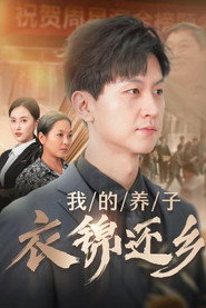 我的养子衣锦还乡 封面