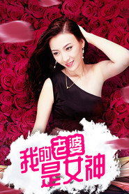 我的老婆是女神 封面