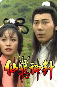 仙鹤神针 封面