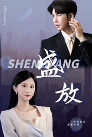 盛放 封面