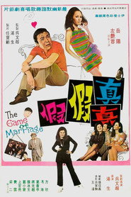真真假假 封面