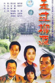 走过柳源 封面