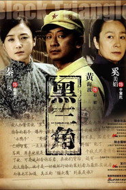 黑三角 封面