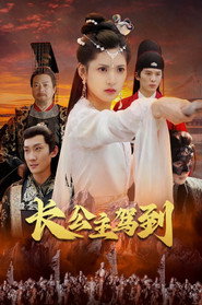 长公主驾到 封面